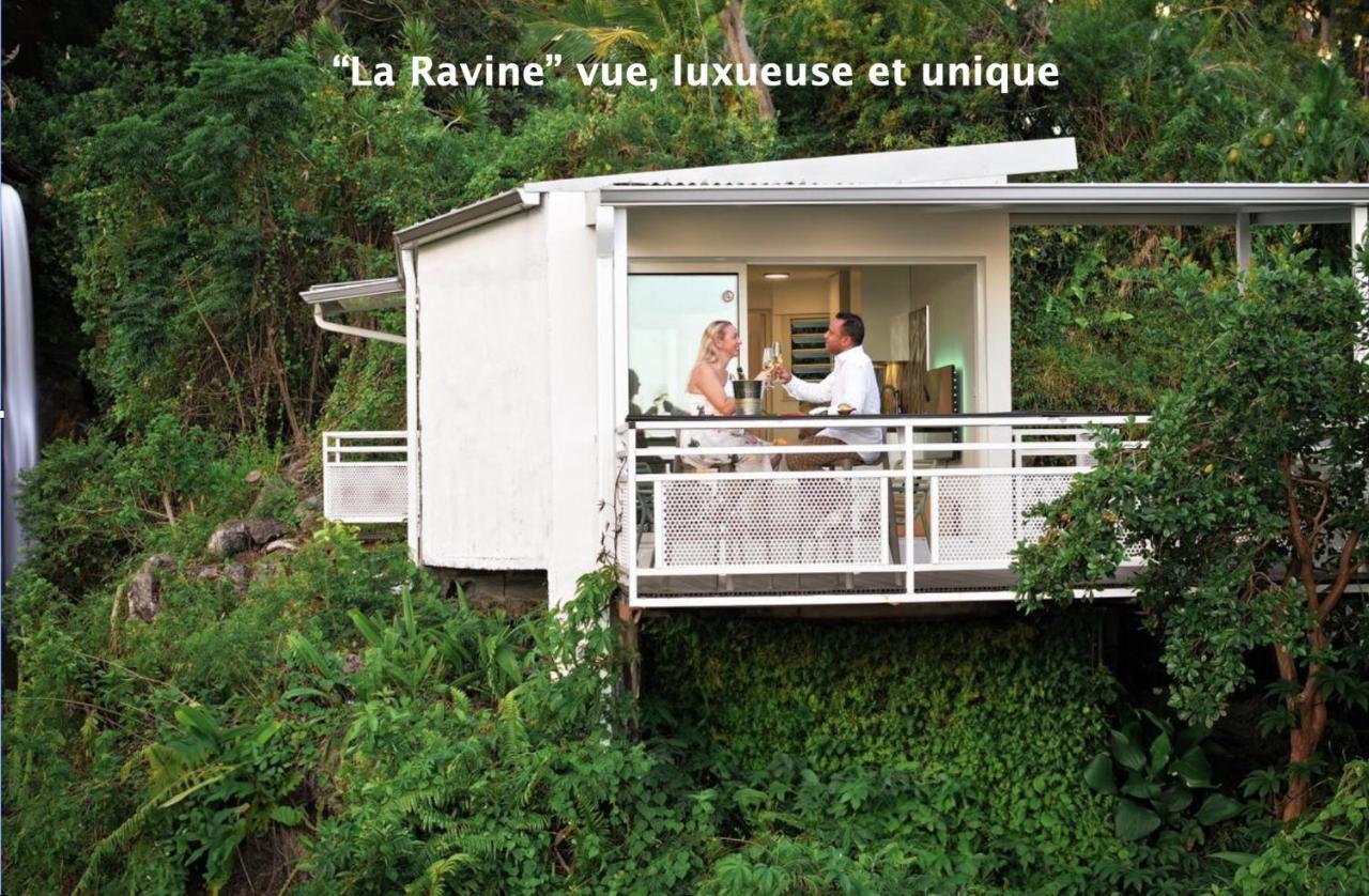 "La Ravine" Prive, Luxe, Avec Une Vue Unique Saint-Joseph Ngoại thất bức ảnh